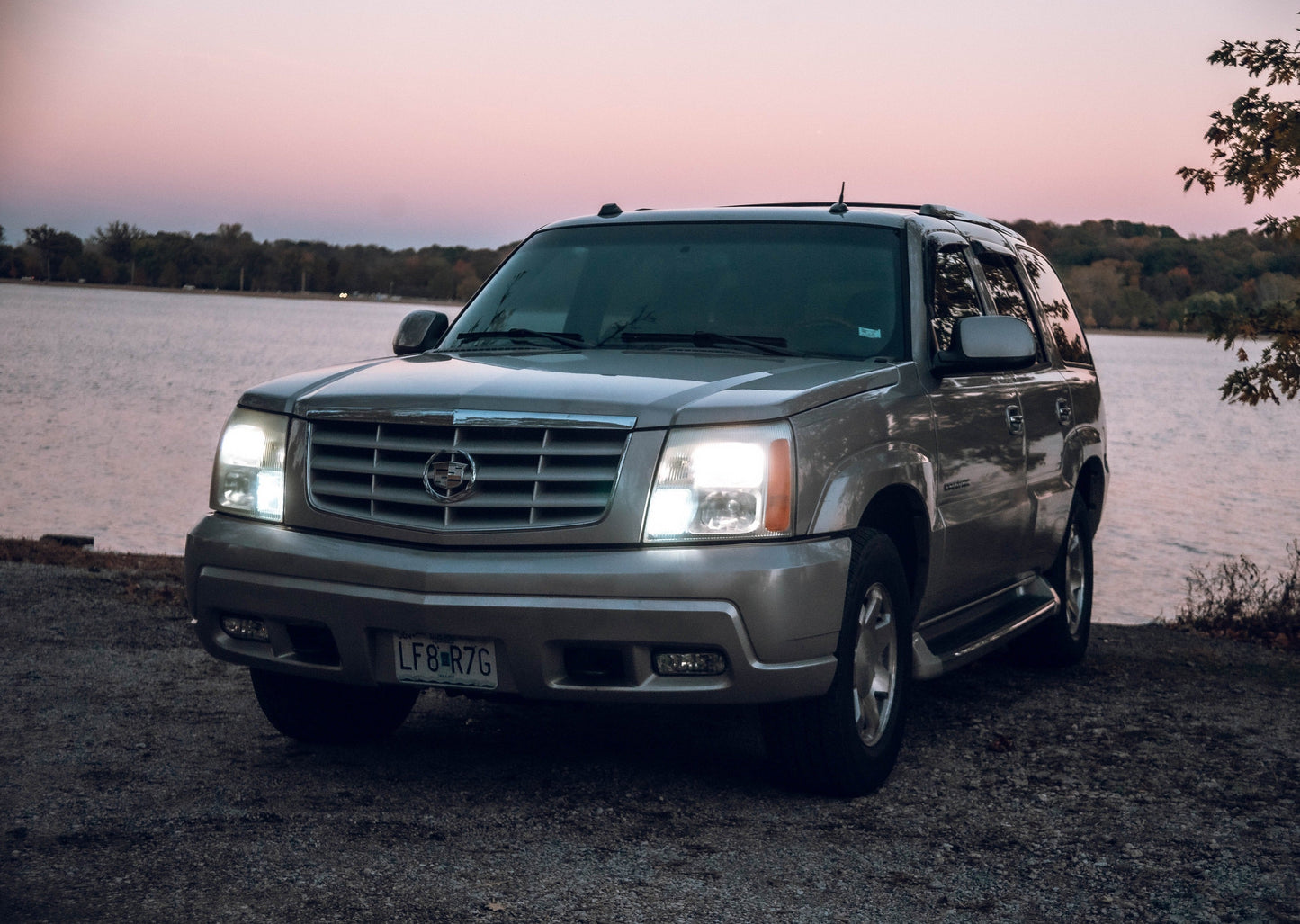 D1/D2 Ballast Bypass